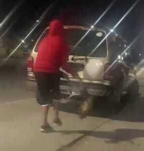 Hombre levanta a un perro por sus patas y lo lanza a varios metros