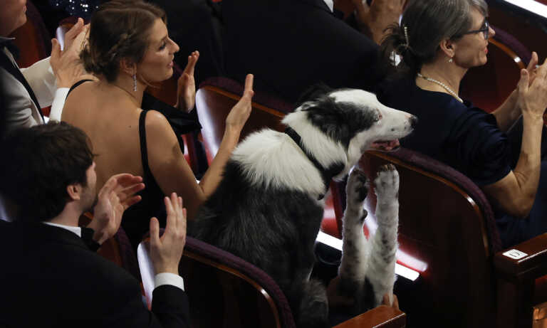 “Messi” cautiva como invitado de gala en el Oscar