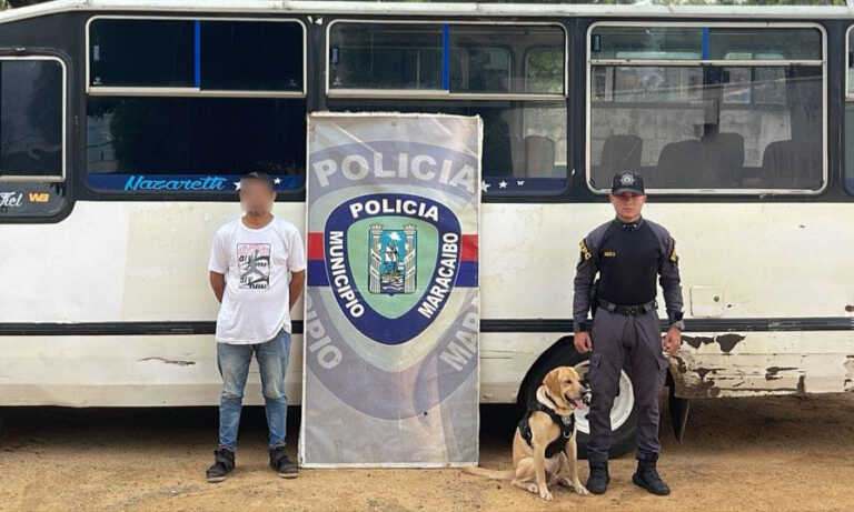 Arrestan a chófer de minibus por atropellar a canino en Juana de Ávila