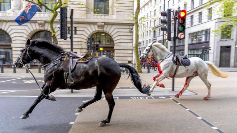 Caballos de la Guardia Real se dan a la fuga y generan caos en centro de Londres