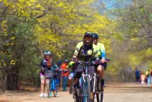 Ofrecen traslado gratuito al Jardín Botánico por floración de los curarires