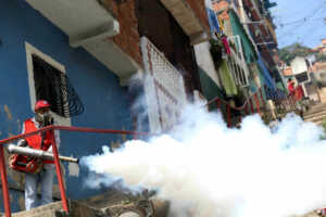 Academia de Medicina pide al MinSalud informar sobre casos de dengue