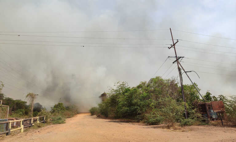 Reportan incendio forestal en Bachaquero