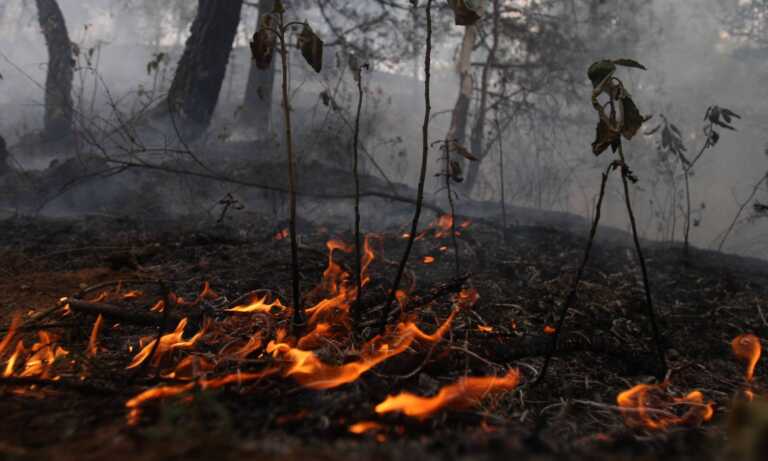 Más de 30 mil incendios forestales se registran en el país entre enero y marzo