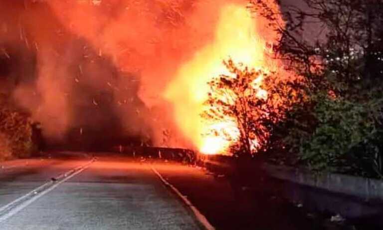 Detienen a 16 personas por vinculación con incendios forestales en el país