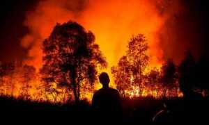 Contabilizan más de 40 incendios forestales en el país en lo que va de semana