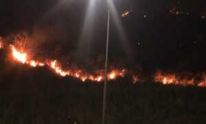 MinEcosocialismo no descarta que incendios en El Ávila fueron “provocados”