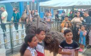 Solo raspones tienen Luna y Rafa, los avestruces que se escaparon en el Puente