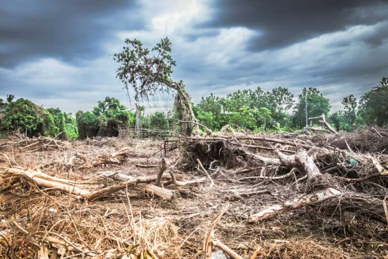 El cambio climático será la principal causa del declive de biodiversidad a mitad de siglo