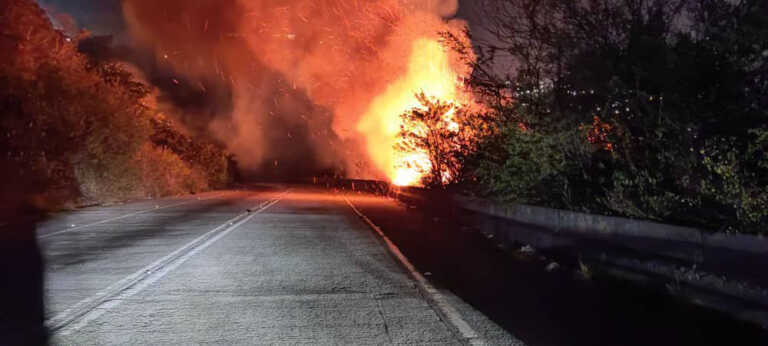 Unos 450 funcionarios combaten incendios forestales en Caracas y Miranda