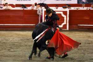 Aprueban en Colombia proyecto de ley que prohíbe corridas de toros en el país