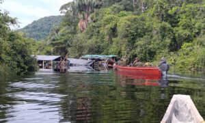 Destruyen 8 balsas de minería ilegal en Amazonas