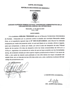 Cartel de citación  Exp. N° VE31-N-2015-000233