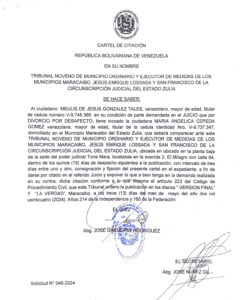 Cartel de citación Solicitud Nro. 046-2024-15-05