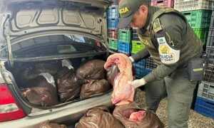Incautan en Cúcuta más de 500 kilos de carne de contrabando desde Venezuela