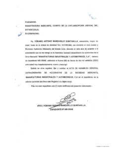 Acta de Asamblea Expediente N 48639046