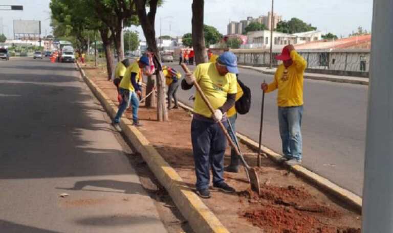 Gobernación realiza operación de limpieza y siembra de árboles en Maracaibo