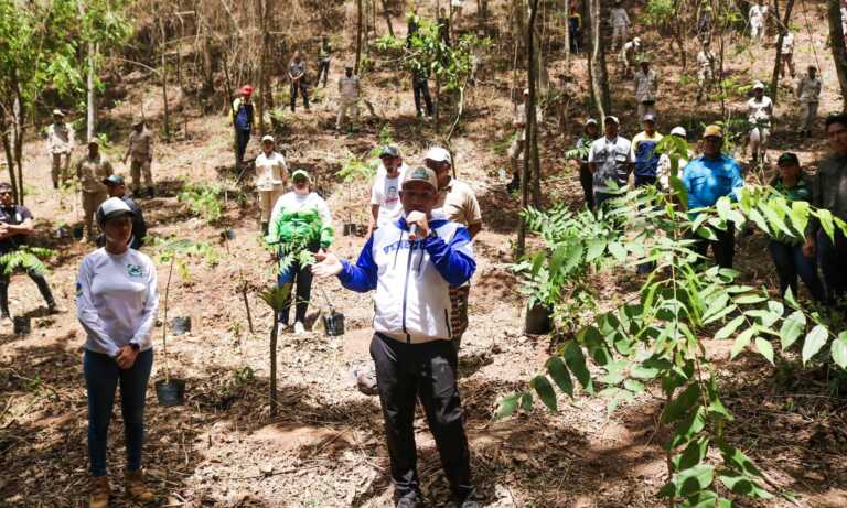 Siembran 100 árboles de nogal en Caracas