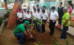 Gobernación siembra araguaneyes en centros educativos