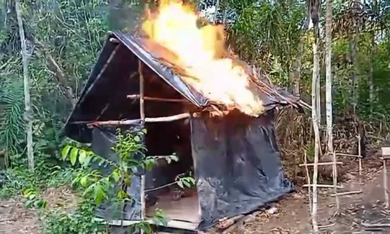 Desmantelan campamento vinculado a la minería ilegal en Atabapo