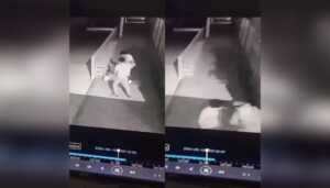 Agreden a vigilante zuliano mientras trabajaba en Perú