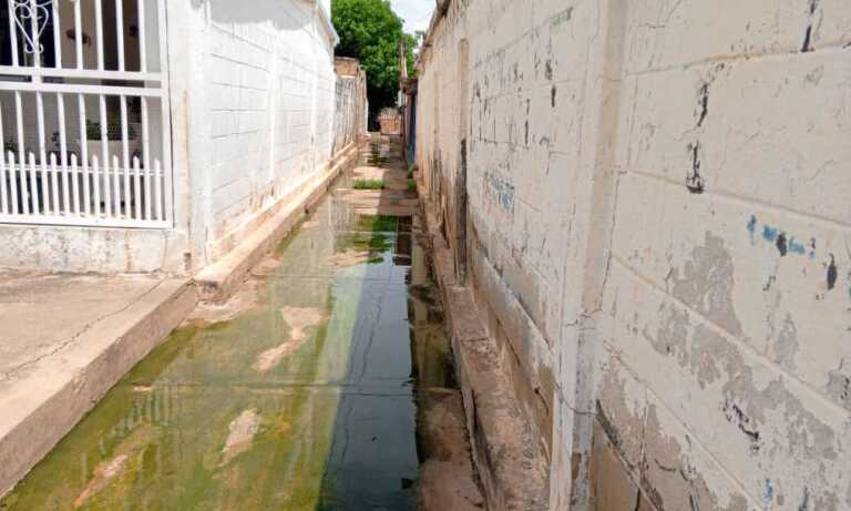 Casi 100 familias en San Jacinto exigen solución ante bote de aguas negras