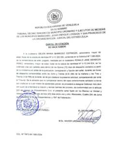 Cartel de Citación Sol N° TM13-M-1396-2024
