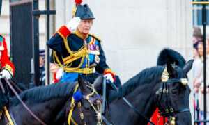 Caballo causa heridas leves en la cabeza a la princesa Ana