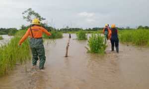 Crecida del río Santo Domingo causa afectaciones en varios sectores de Barinas