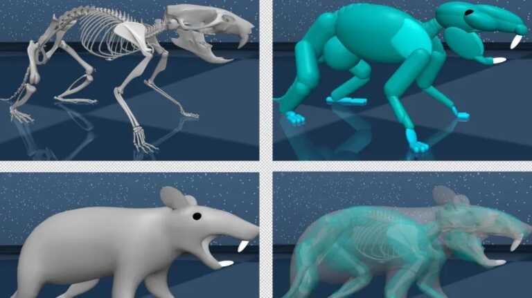 Crean primera rata virtual para descifrar cómo controla el cerebro el movimiento