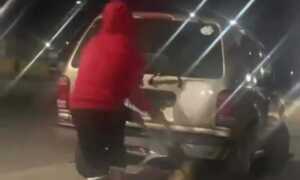 MP pide identificar y sancionar a sujeto que maltrató a perro en Mene Grande