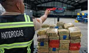 Militares incautan casi 100 kilos de marihuana en Barinas