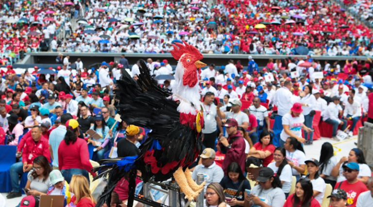 MP investiga ahorcamiento de un gallo durante marcha opositora en Yaracuy