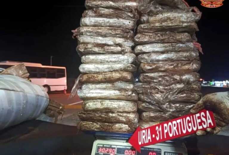 Detienen a 3 personas con 30,29 kilos de marihuana en Portuguesa