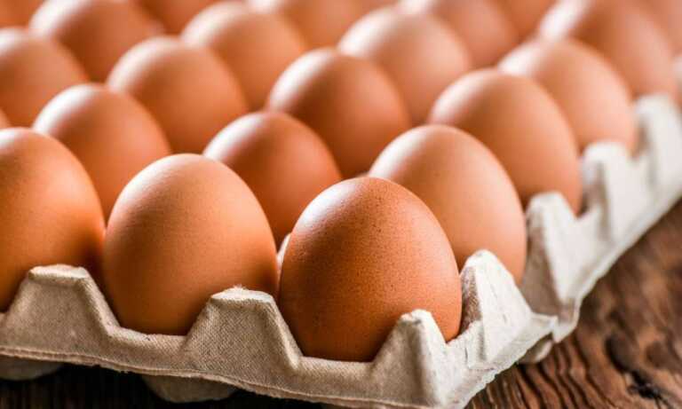 Huevos y pollos representan el 61 % de las proteínas que consumen los venezolanos