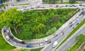 Gobernación propone el uso de la IA para crear microbosques urbanos