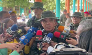Padrino López asegura ausencia de incidencias en el proceso electoral