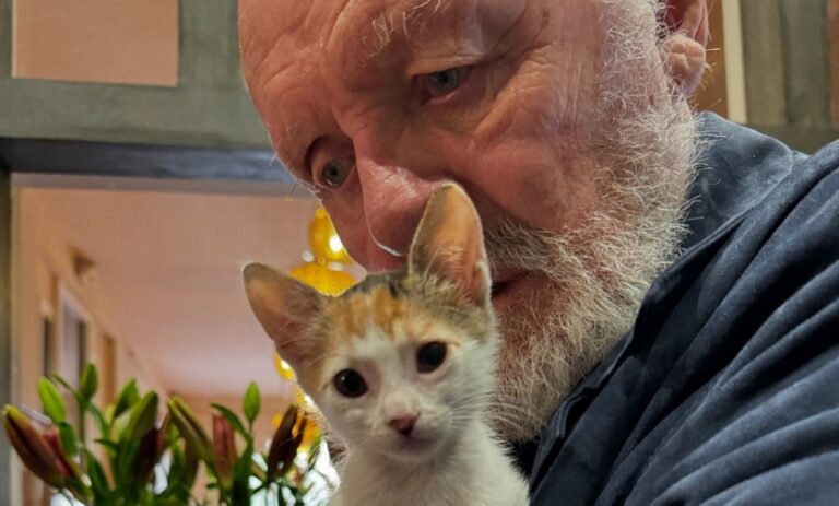 Anthony Hopkins conmueve con fotos de sus gatos