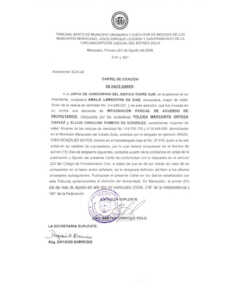 Cartel de citación Expediente 8225-24