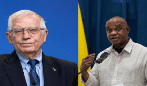 Borrell y canciller de Colombia abogan por una “salida democrática” en Venezuela
