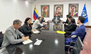 Panel de expertos de la ONU presenta informe provisional de las elecciones al CNE