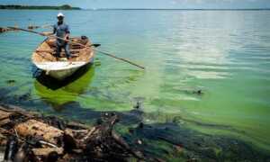 Pescadores afirman que trabajos de saneamiento del Lago son insuficientes