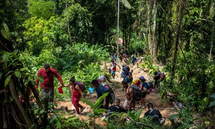 Arrestan a 13 personas en Panamá por tráfico de migrantes a través de ruta “VIP” del Darién