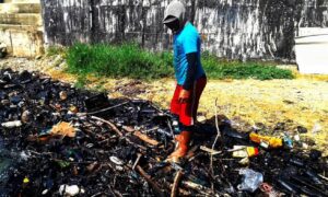 Azul Ambientalista: Verdín en el Lago vuelve a encender las alarmas