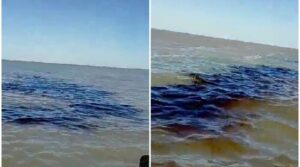 Denuncian continuos derrames de petróleo en el sur de la Península de Paraguaná