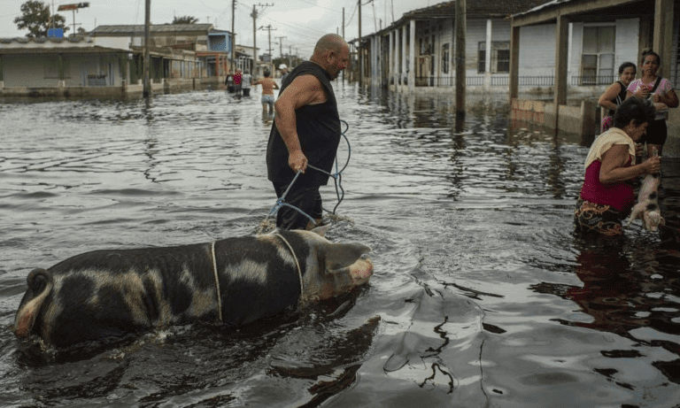 Huracán Helene deja 4 muertos, inundaciones, destrozos y apagones en el sureste de EE. UU.