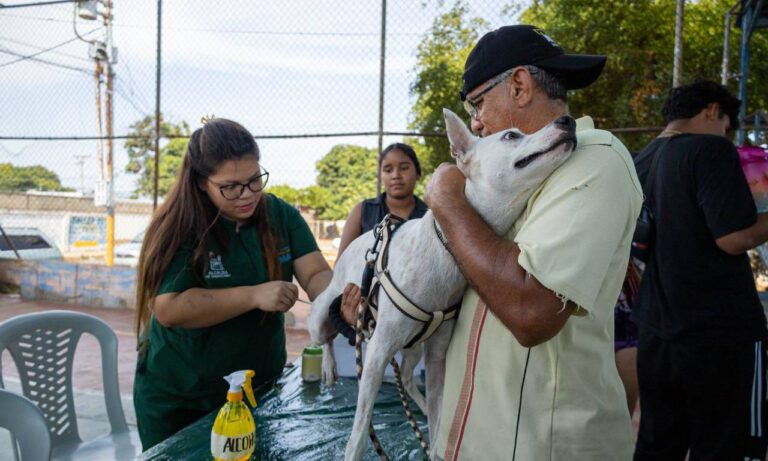 Contabilizan 2.453 felinos esterilizados este año en el Centro de Atención Veterinaria