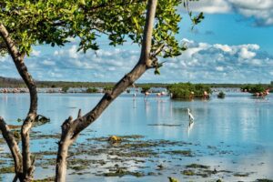 Corzutur promueve el Primer Conversatorio Multisectorial en Pro del Desarrollo Turístico del Zulia