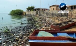 Basura, petróleo y verdín, invasores silenciosos de comunidades en las riberas del Lago