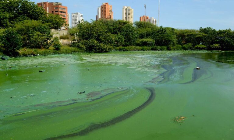 Denuncian que persisten las fugas de petróleo en el Lago de Maracaibo y el Golfo de Venezuela